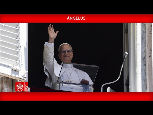 El Papa León XIV: “La verdadera justicia es el amor” angelus 18 de enero de 2026 papa - 1