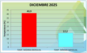 Diciembre récord en Corrientes: cayeron 501,4 mm de lluvia y en cinco días se concentró más del 75% del total 5 datos icaa - 4