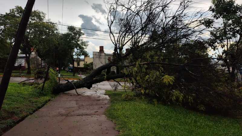 Defensa Civil repara daños por la tormenta en Posadas y alerta por más lluvias Posadas temporal