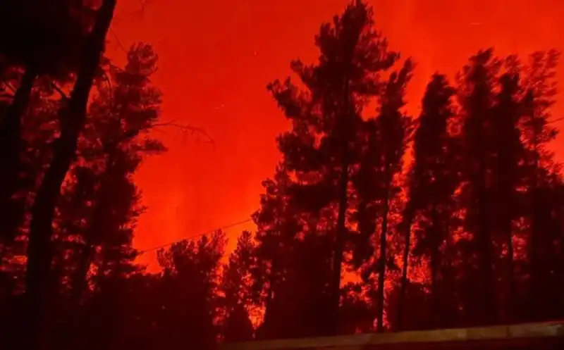 Por X, Milei agradeció a brigadistas y bomberos que combaten incendios en la Patagonia 4 incendio patagonia 1 - 3