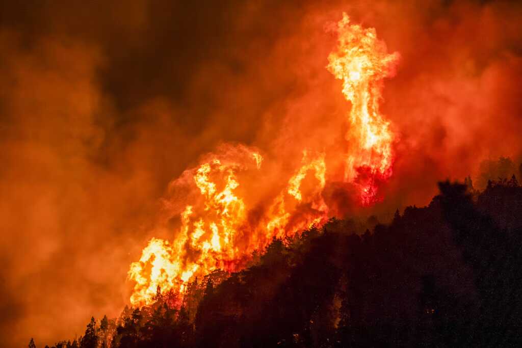 Por X, Milei agradeció a brigadistas y bomberos que combaten incendios en la Patagonia incendio patagonia 2 - 1