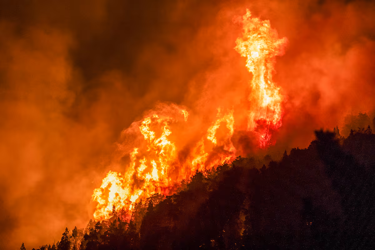 El Gobierno declarará la Emergencia Ígnea por DNU en cuatro provincias patagónicas 5 incendio patagonia 2 - 4