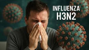 Corrientes confirmó dos casos de Influenza A H3N2 subclado K 5 influenza h3n2 - 4
