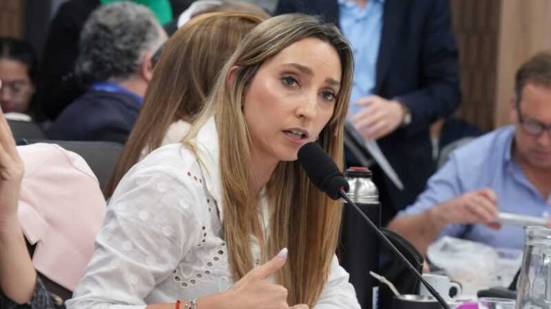 Economista acusa a Milei de desfinanciar el Servicio Nacional del Manejo del Fuego 4 julia strada economista y diputada nacional de union por la patria up 2088628 - 3