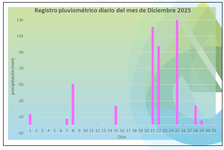 Diciembre récord en Corrientes: cayeron 501,4 mm de lluvia y en cinco días se concentró más del 75% del total 7 lluvias corrientes 3 - 6