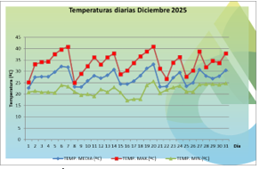 Diciembre récord en Corrientes: cayeron 501,4 mm de lluvia y en cinco días se concentró más del 75% del total 9 lluvias corrientes2 - 8