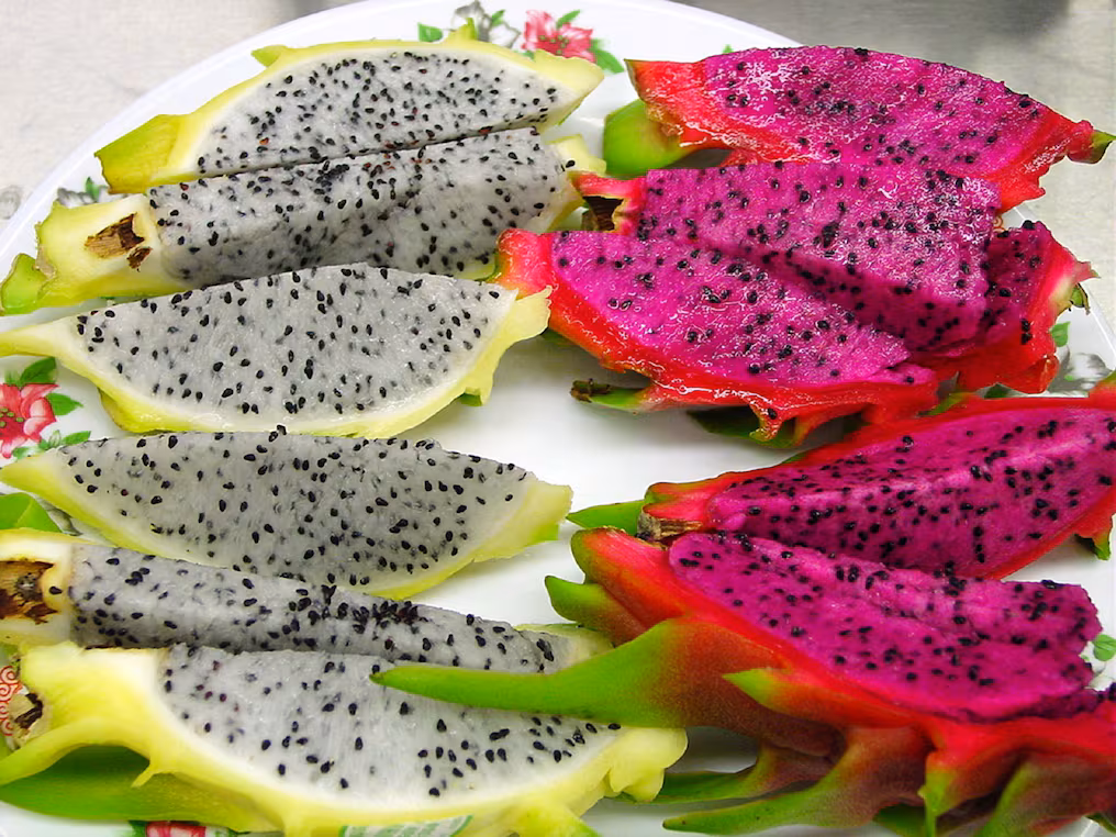 Paraguay logró un hito histórico: exportó por primera vez pitahaya a Uruguay 6 pitahaya5 - 5
