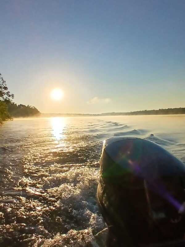 Avistaje de yaguareté con crías en el Parque Nacional Iguazú 6 625965250 18071506085396157 3748821531637573661 n - 5