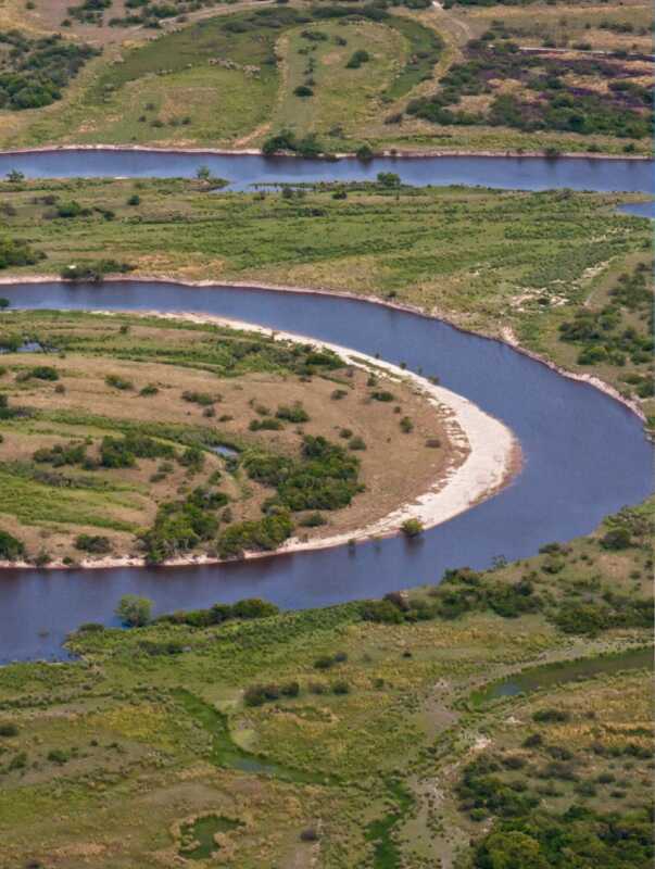 Rewilding Argentina obtiene financiamiento global para conservación ambiental 4 626608687 18427289800186407 8314460019253918412 n - 3