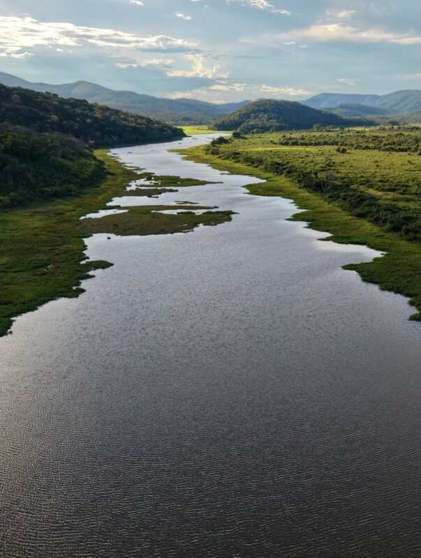 Rewilding Argentina obtiene financiamiento global para conservación ambiental 6 627685199 18427289782186407 2346813514835827423 n - 5