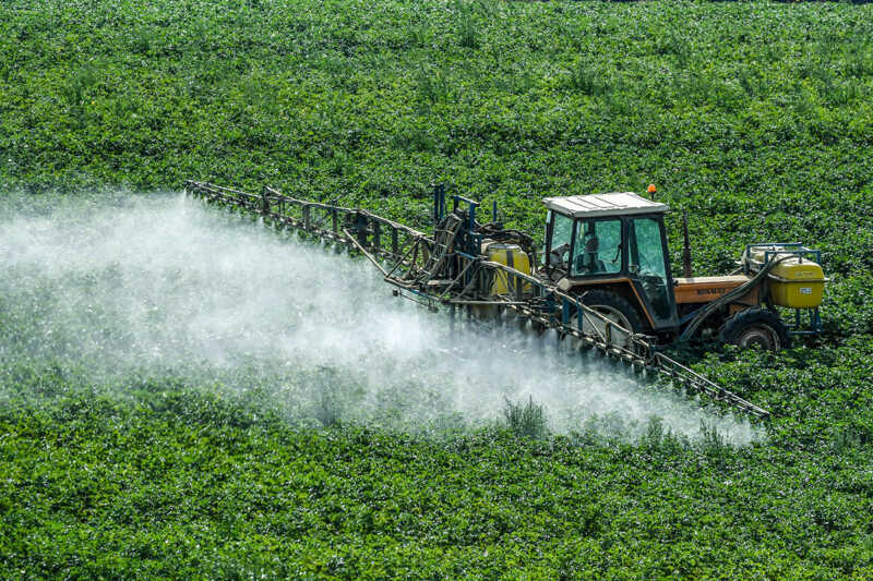 Los sectores vinculados a las exportaciones sostienen la actividad económica, pero la fragilidad del mercado interno sigue limitando una recuperación más amplia.