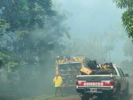 Bomberos sofocaron un incendio de malezas en Posadas Bomberos