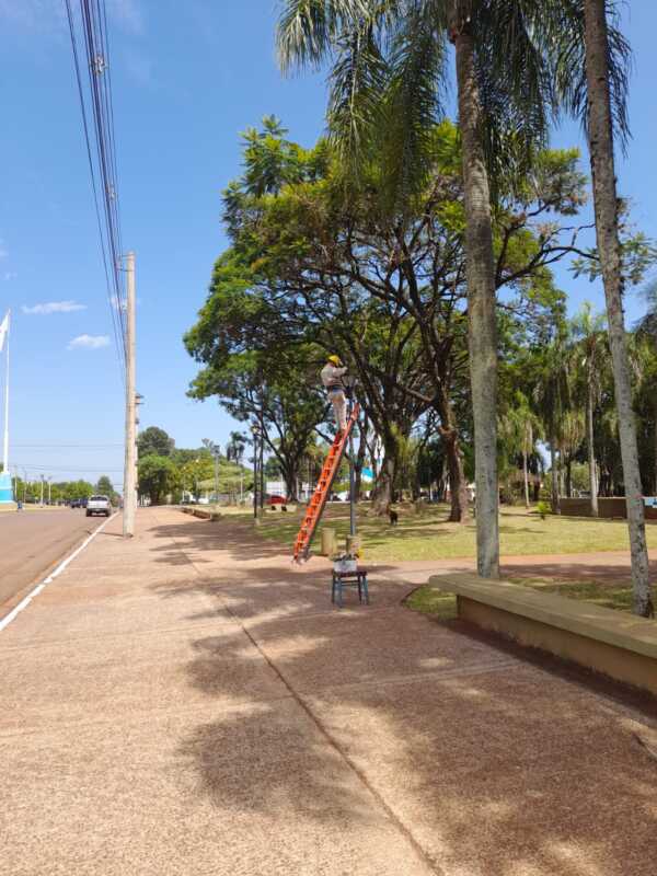 Candelaria refuerza el alumbrado público y la red eléctrica en vísperas de su 398° aniversario alumbrado