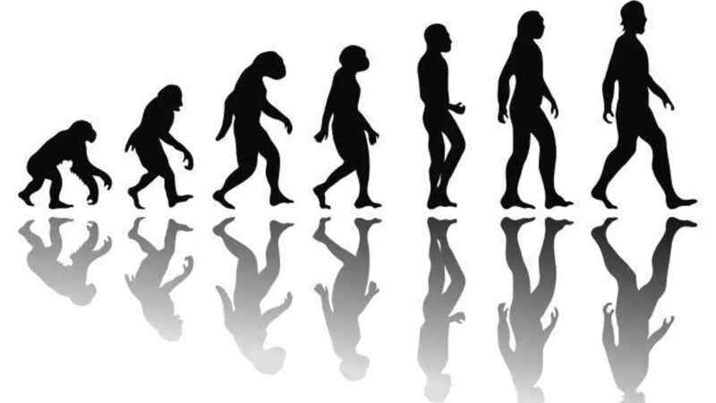 Día Mundial de la Antropología: la ciencia que estudia al ser humano y sus prácticas sociales 3 antropología