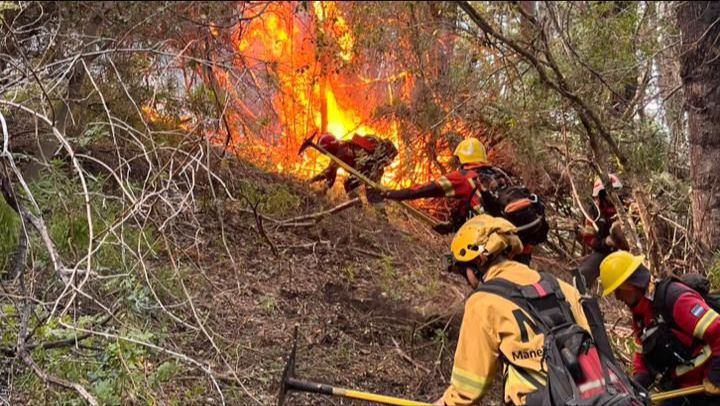 Vocación y entrega: brigadistas misioneros combaten incendios en la Patagonia brigadistas