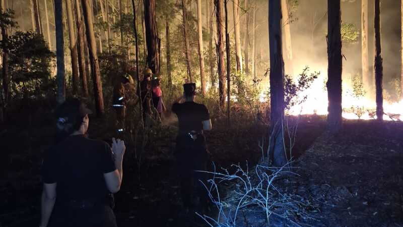 25 de Mayo: Bomberos intervinieron por un incendio de malezas y eucaliptal incendio de maleza en 25 de mayo