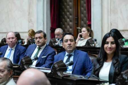 misiones diputados
