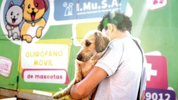 Bienestar animal: continúan los operativos municipales en barrios 2 Castraciones y vacunación: el IMUSA recorre los barrios