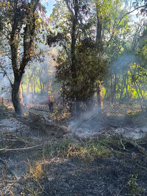 Lunes caluroso y con alto riesgo de incendios en Misiones 4 incendios posadas 14 - 3