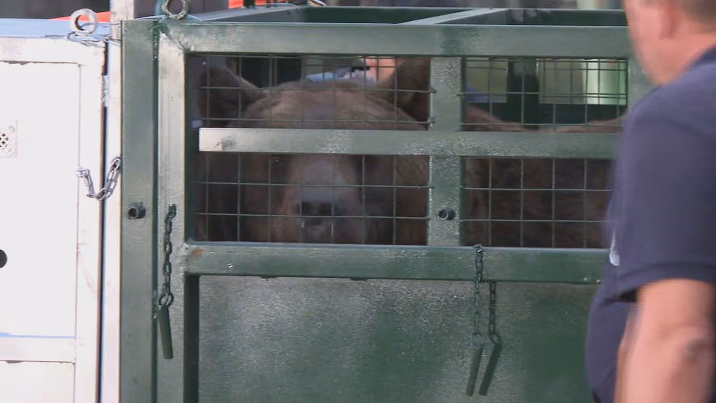 El Zoológico de Luján inicia el cierre definitivo con el envío de animales a Europa 2 Zoológico de Luján inicia el traslado de más de 60 animales a santuarios internacionales