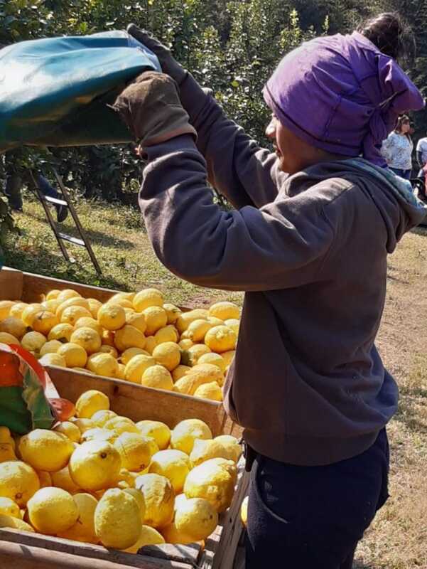 Aumenta la prestación por desempleo rural: nuevo tope de $367.602 3 14 3 24 1 769x1024 1 - 2