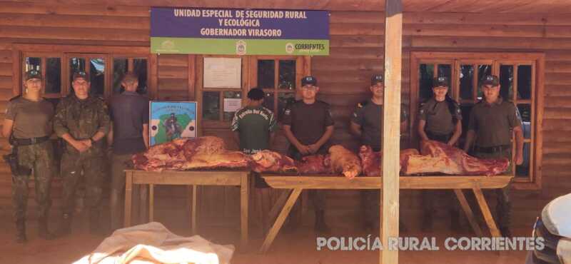 Operativo contra el abigeato: decomisan gran cargamento de carne sin papeles
