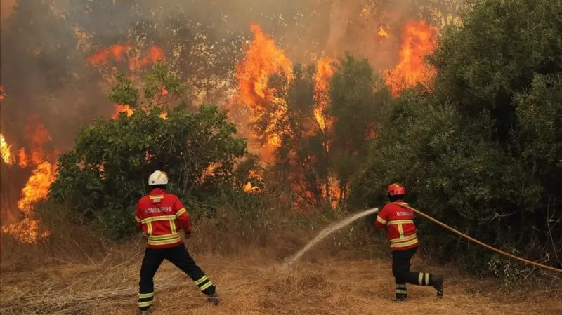 Bomberos Voluntarios Posadas: más de 150 intervenciones en el verano Bomberos