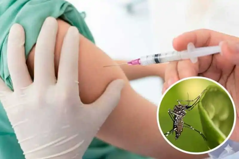Dengue
