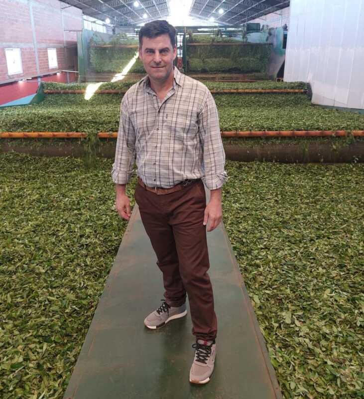 Exportación de yerba mate: cooperativa misionera abre mercado en China 1 Cooperativismo en acción: productores misioneros impulsan la llegada de la yerba mate al mercado asiático.