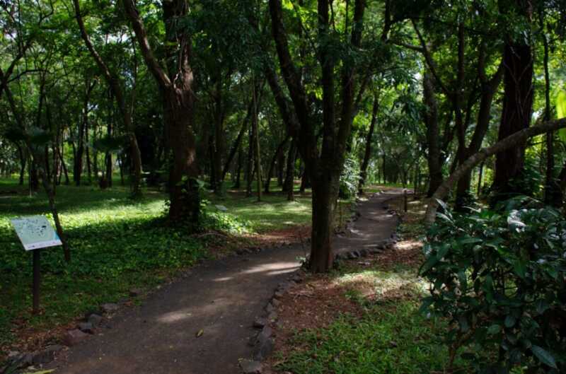 Jardín 