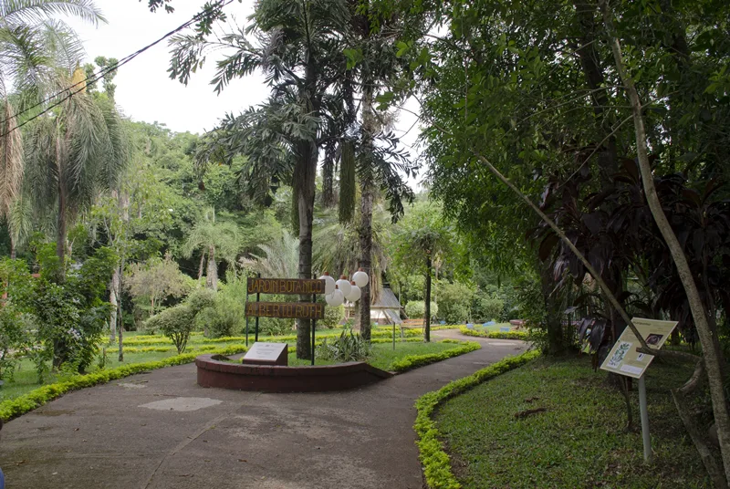 Jardín 