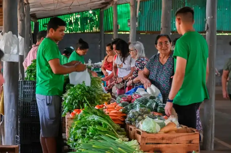 Impulsan en Misiones un sistema de compras públicas para garantizar alimentos saludables en comedores 2 Misiones