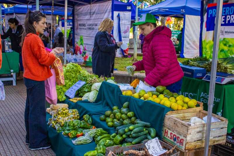 Impulsan en Misiones un sistema de compras públicas para garantizar alimentos saludables en comedores 3 Misiones