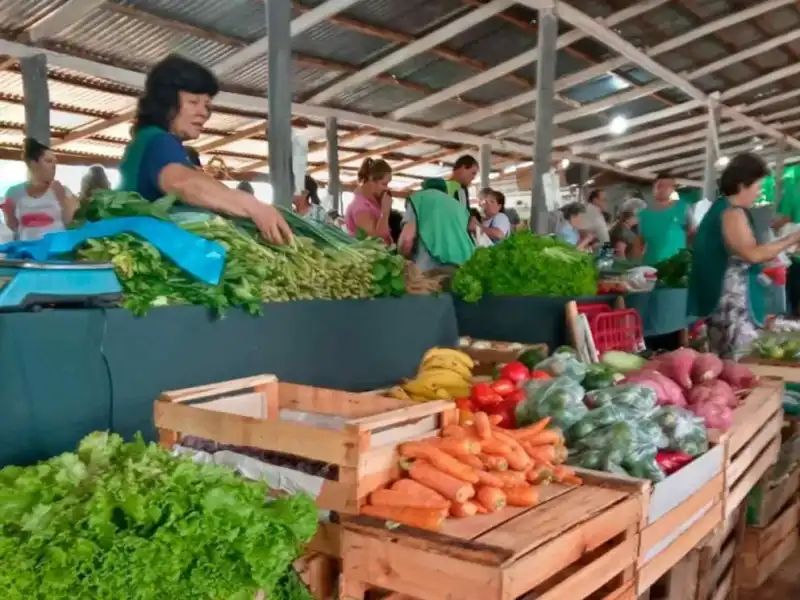 Impulsan en Misiones un sistema de compras públicas para garantizar alimentos saludables en comedores Misiones