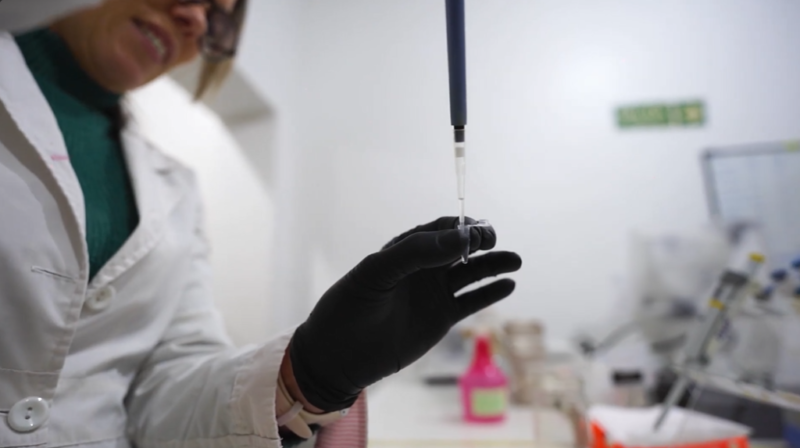 Crean en Misiones un biopesticida basado en biotecnología para proteger la producción citrícola 1 Misiones