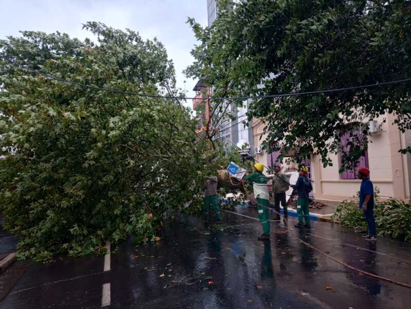 La tormenta provocó severos daños en distintos sectores de Posadas 1 Posadas
