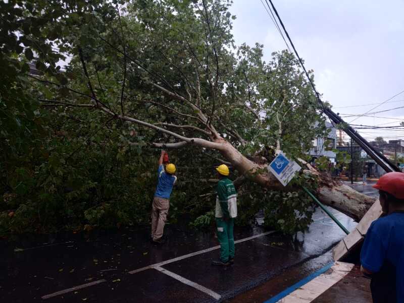 La tormenta provocó severos daños en distintos sectores de Posadas Posadas
