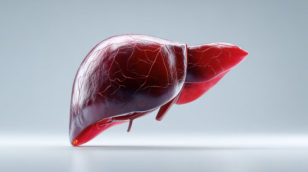 El café podría frenar la fibrosis en hígado graso 2 ¿El café protege el hígado? Qué dicen las investigaciones más recientes