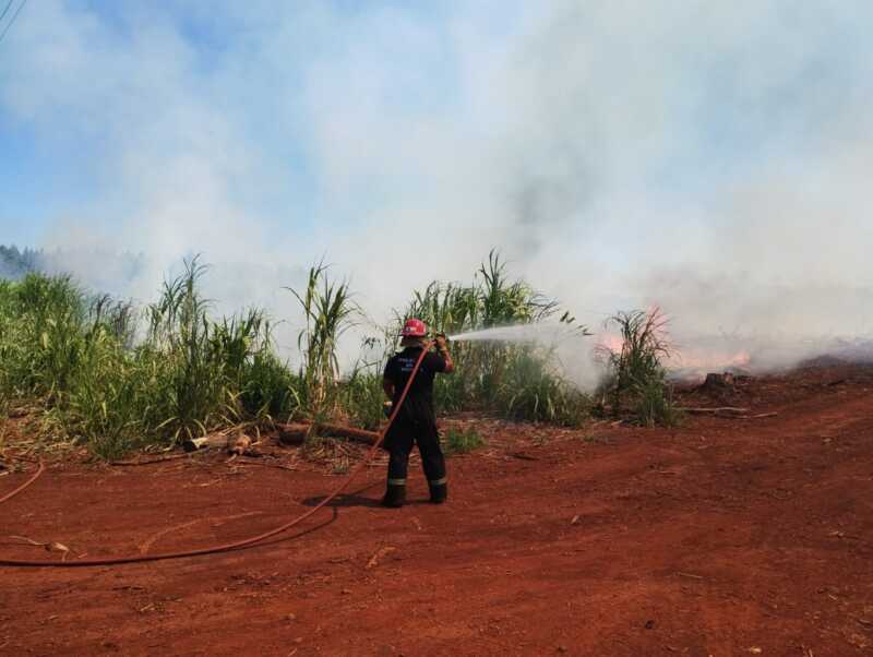 Incendio de malezas en Capioví fue controlado por bomberos WhatsApp Image 2026 03 01 at 17.35.01 - 2