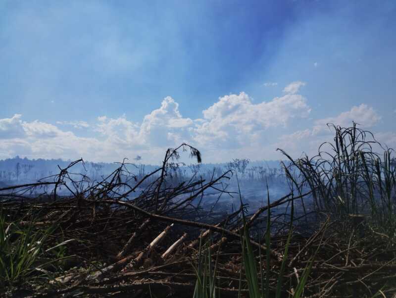 Incendio de malezas en Capioví fue controlado por bomberos 5 WhatsApp Image 2026 03 01 at 17.35.03 - 4