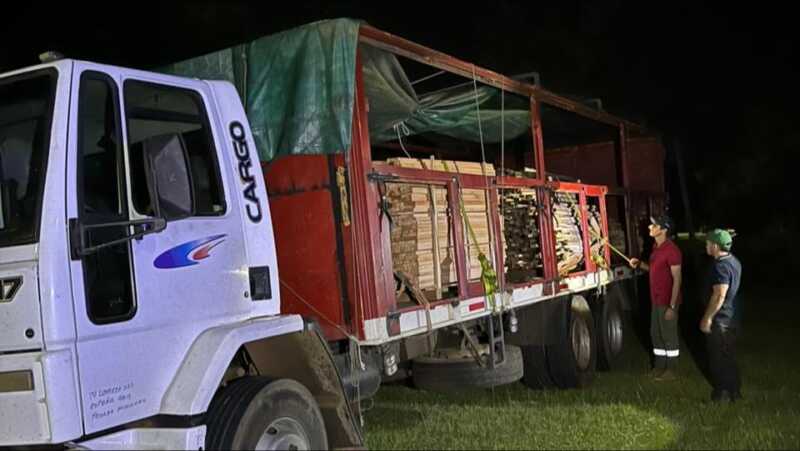 Operativos forestales en Misiones: Ecología interceptó camiones con madera nativa no declarada ecología decomisó madera