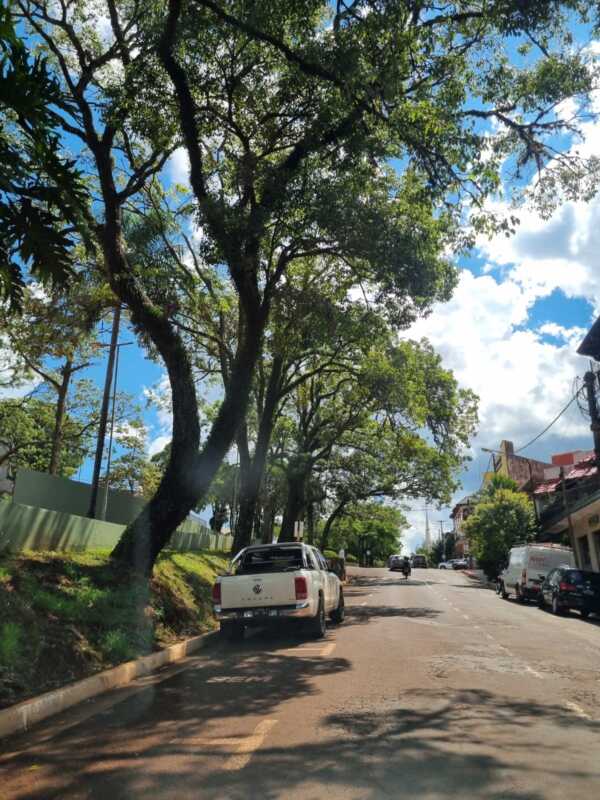 Misiones se prepara para un fin de semana caluroso y estable 3 WhatsApp Image 2026 03 12 at 19.05.41 - 2