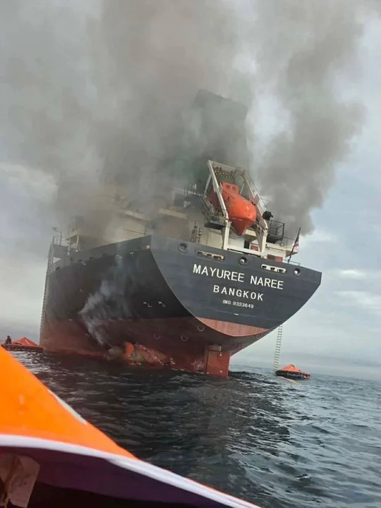 Japón y potencias europeas condenaron a Irán por el cierre del estrecho de Ormuz y ataques en el golfo 4 WhatsApp Image 2026 03 19 at 18.29.54 - 3