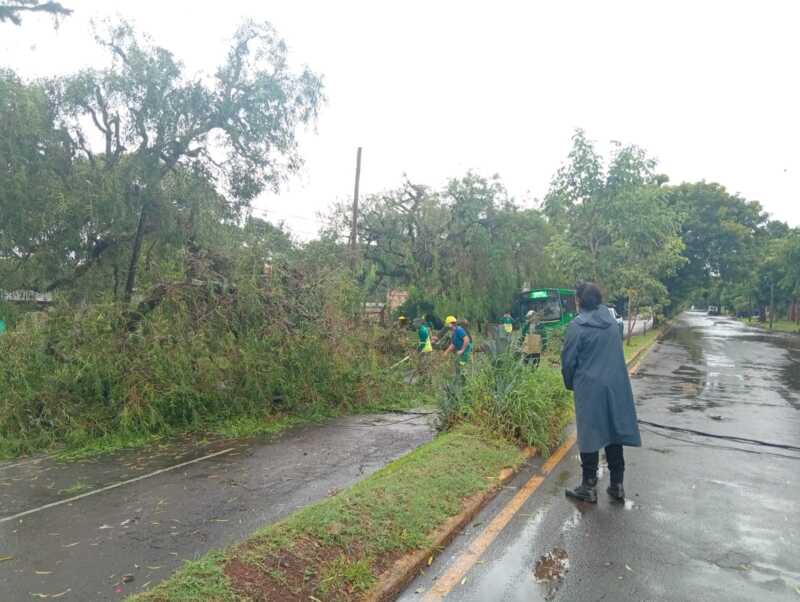 Fuerte tormenta en Posadas: casas inundadas, árboles caídos y calles afectadas WhatsApp Image 2026 03 23 at 18.00.05 - 1