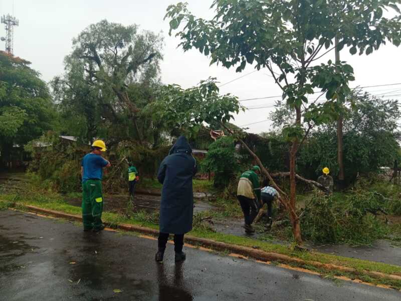 Fuerte tormenta en Posadas: casas inundadas, árboles caídos y calles afectadas 6 Temporal en Posadas: una casa inundada y caída de árboles generan complicaciones