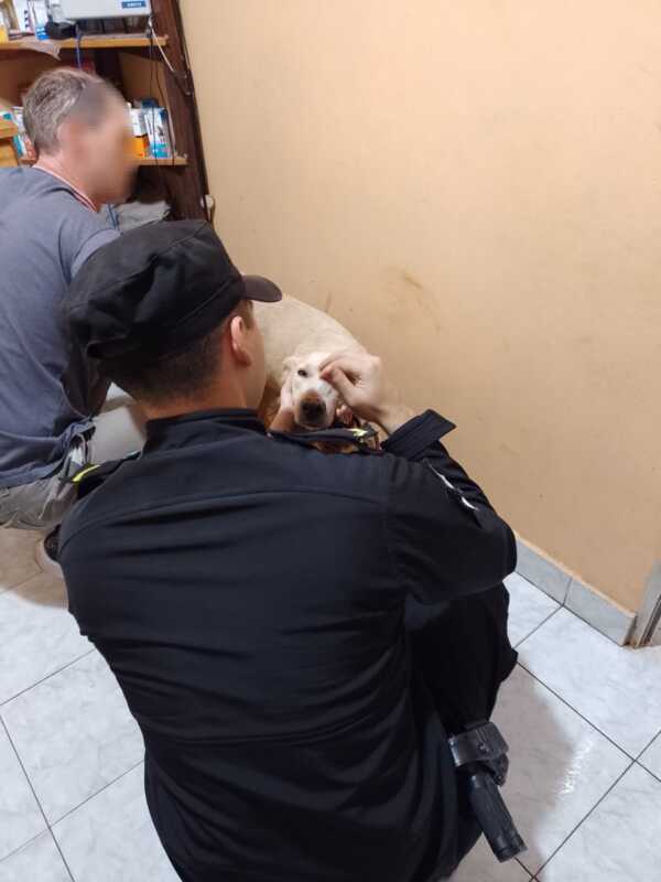 Presunto abandono en Ruta 14: rescatan a un perro y avanza la causa