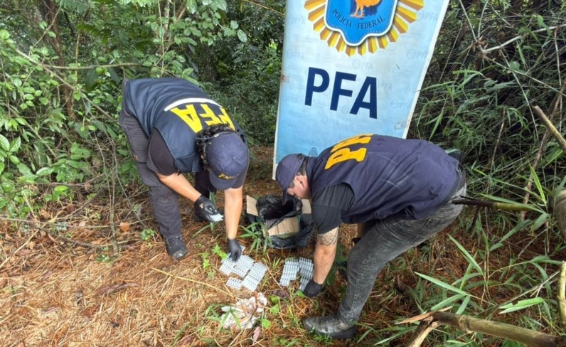 Iguazú: PFA incautó más de 300 ampolla de fentanilo valuadas en millones provenientes de Paraguay 4 WhatsApp Image 2026 03 24 at 18.20.32 - 3