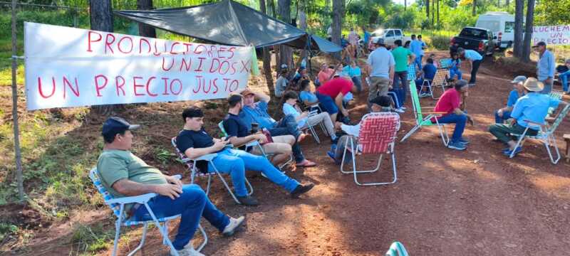 Yerbateros de la zona centro no cosecharán: piden que la hoja verde valga al menos $510 yerbateros asamblea