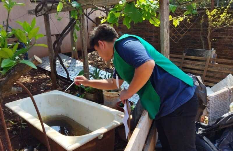 Operativos contra el dengue: saneamiento y concientización en Posadas