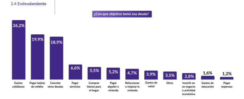 Deuda al límite: 9 de cada 10 argentinos no puede pagar y crece el colapso financiero 5 endeudamiento destino - 4